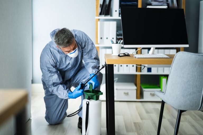 pest-control-exterminator-man-spraying-termite-