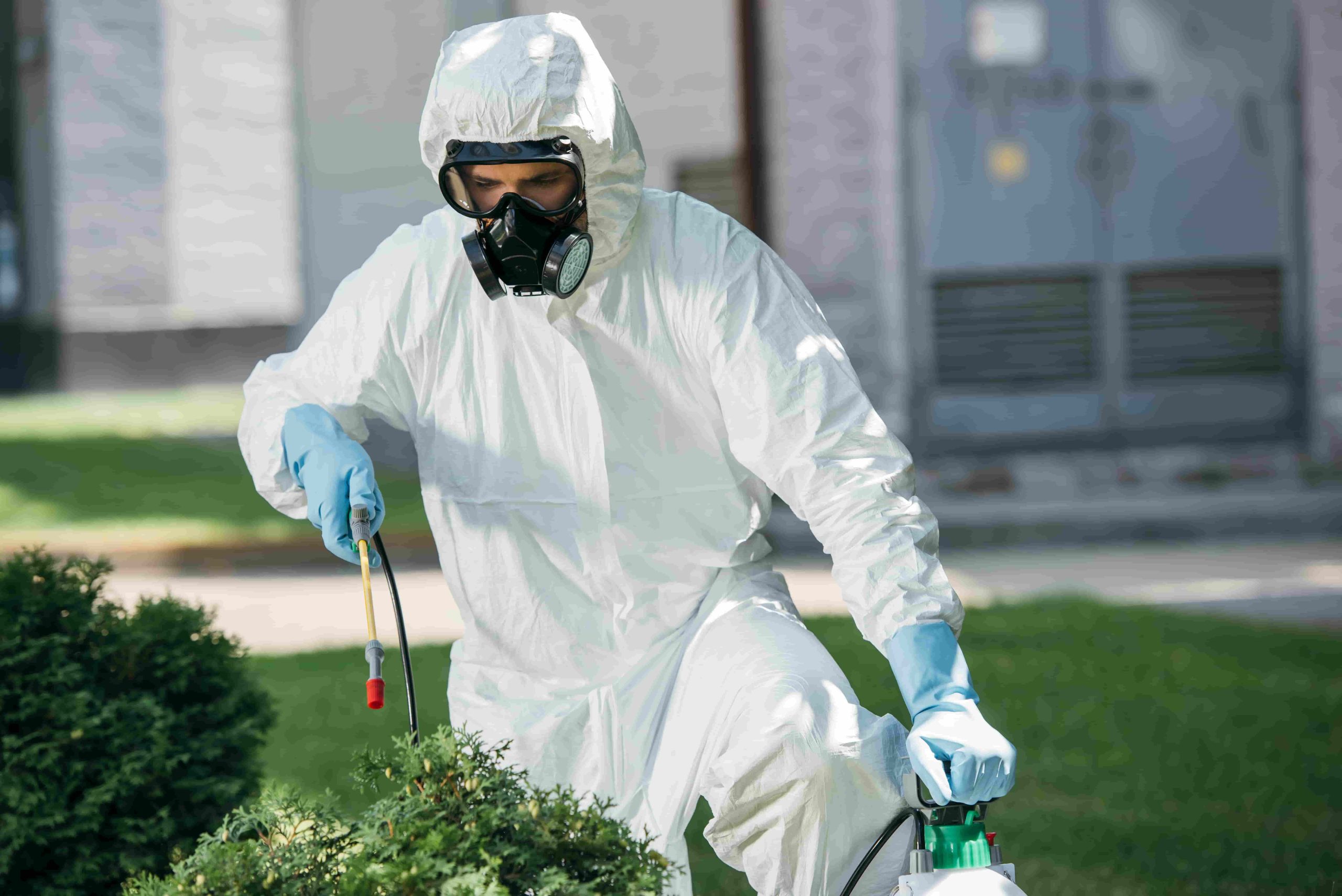 male-pest-control-worker-in-uniform-spraying
