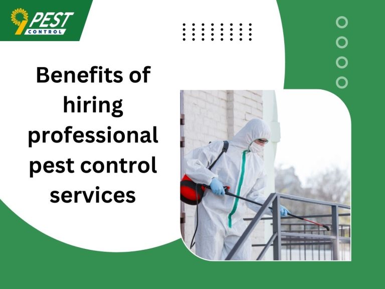 Benefits of hiring professional pest control services