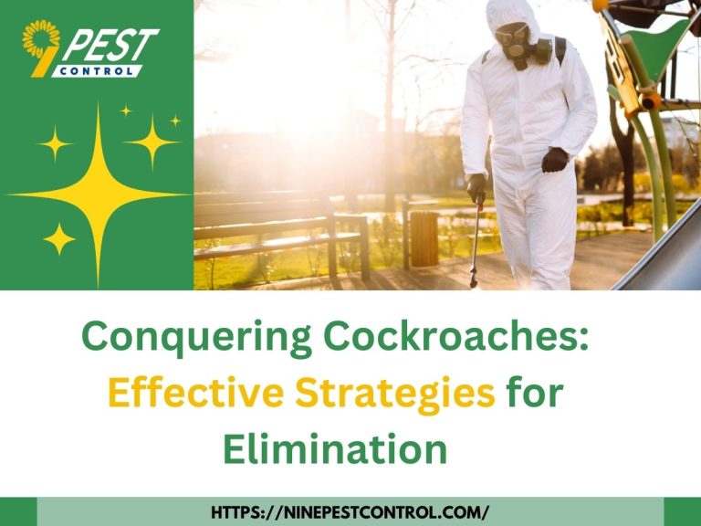 Conquering Cockroaches Effective Strategies for Elimination