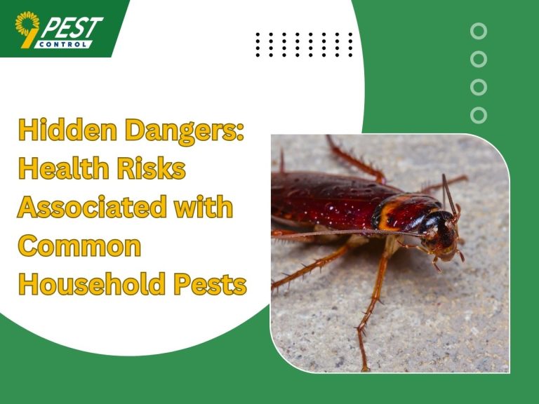 Hidden Dangers: Health Risks Associated with Common Household Pests